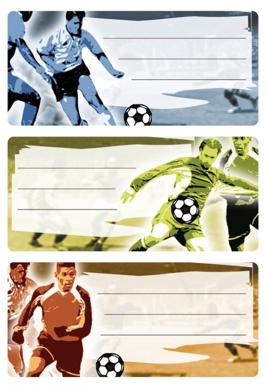 Sticker Labels x9 football