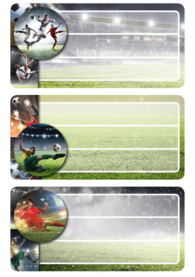 Sticker Labels x9 football
