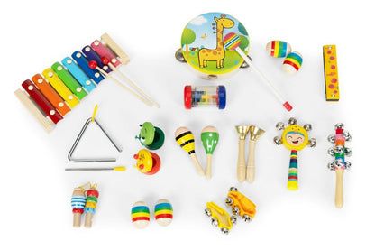 14 Piece Musical Instrument Kit