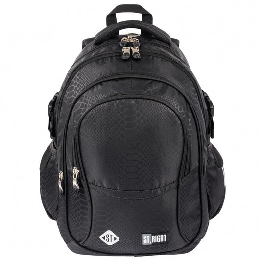 Shiny Snake 4 compartment Backpack BP01 42x32x20 cm