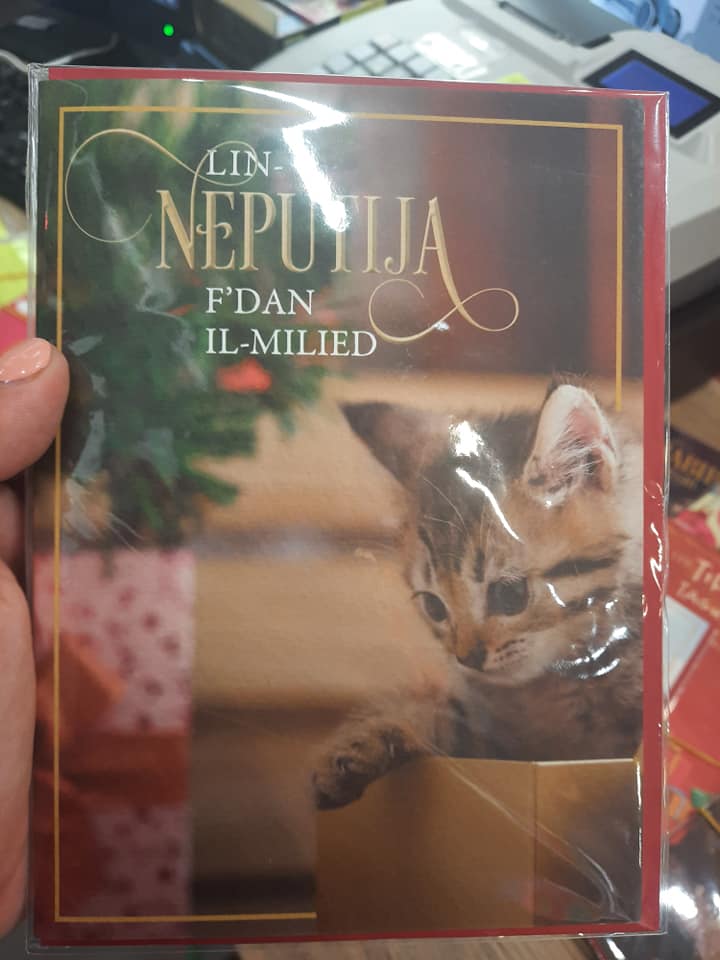 Christmas Card in Maltese - choose design