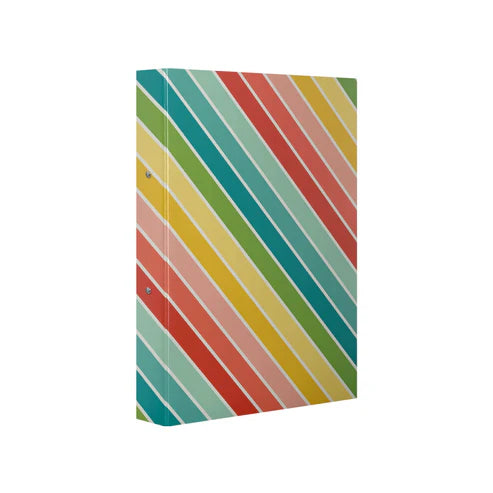 PUKKA - Fancy 2 Ring Hard File Stripes