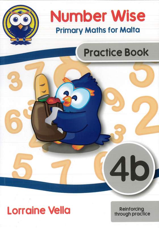 Number Wise Maths 4b Practice Book