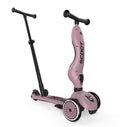 Scooter Highwaykick 1 Push & Go - Wildberry