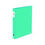 Ambar Narrow Spine Ring File - Light Green
