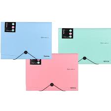 Optima 12 part expanding organiser A4 pastel