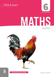 Think and Learn 6 Maths Notes