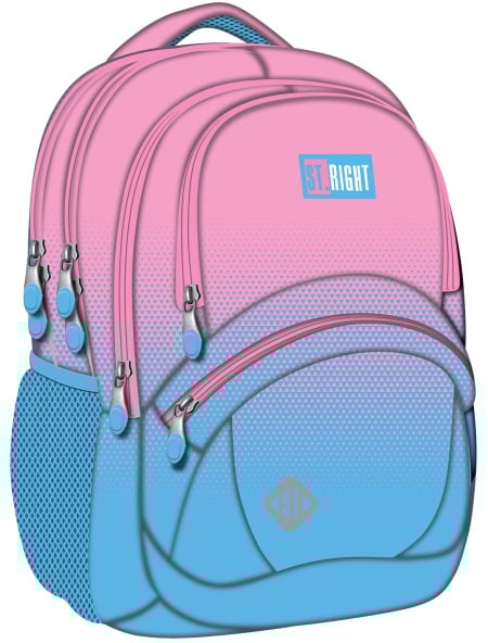 PINK BLUE GRADIENT 4 compartment Backpack BP05 42x30x19 cm