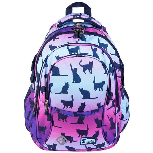 NIGHT CATS 4-compartment backpack BP01 43x32x21 cm