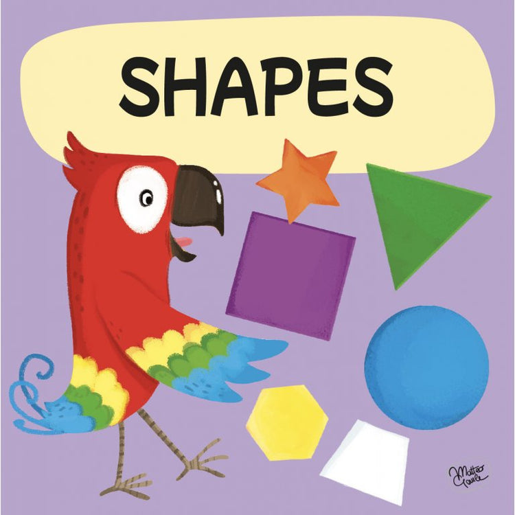 Shapes - Page Book + Puzzles - Sassi