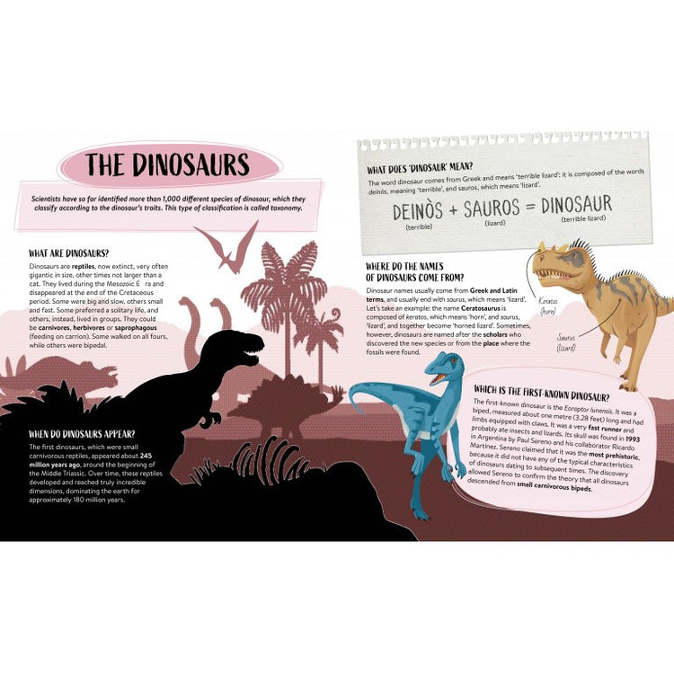 Q & A Dinoaurs Book - Sassi