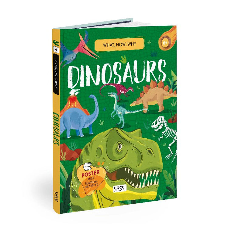 Q & A Dinoaurs Book - Sassi