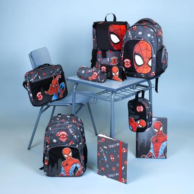Spiderman 1 compartment pencil case